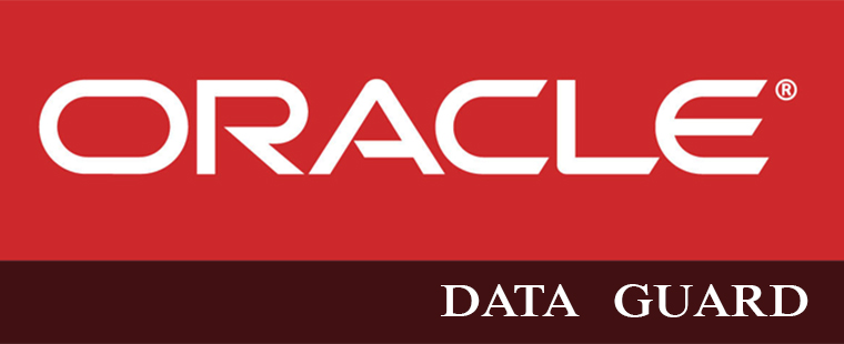 ORACLE DATA GUARD Training in Roorkee